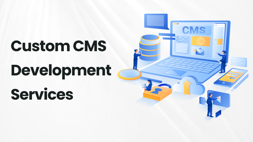 custom erp cms development services